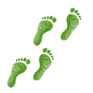 Sólo te queda un paso